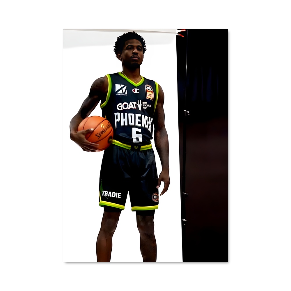 Poster Phoenix dans la Main – affiche Basketball